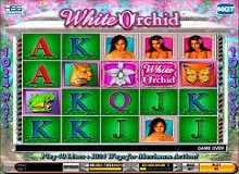 Free spins microgaming